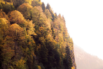 autumn in the mountains