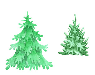 Set of Christmas green fir trees. Elements for the design of the winter New Year card. Hand drawn watercolor painting on white background