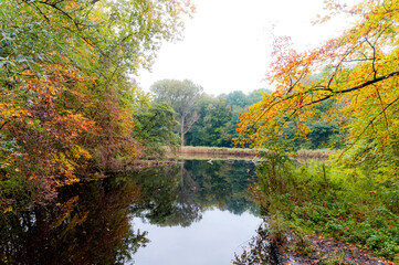 Fototapeta na wymiar Park the Amsterdamse Bos in Autumn