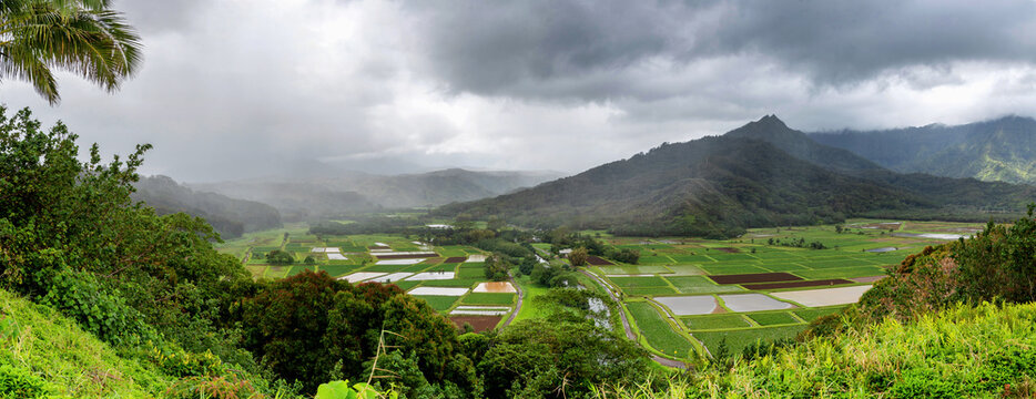 Lush Hanalei valley on the island of Kauai, also known as the Garden Isle, in state of Hawaii