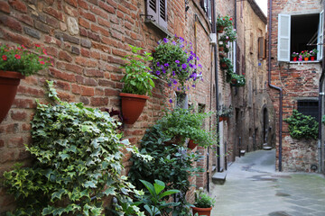 Fototapeta na wymiar Plants and flowers in an alley of the town of Citta della Pieve, Italy