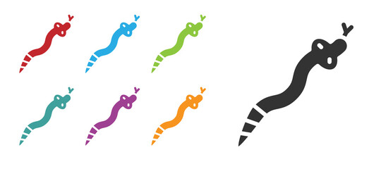 Black Snake icon isolated on white background. Set icons colorful. Vector.