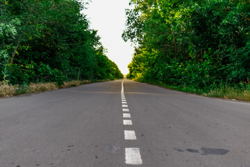 Paved road among green trees and vegetation. Symbol of a journey into the distance, close-up view from below. Grey concrete roadway on the ground surface