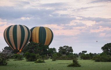 Obraz premium Masai Mara