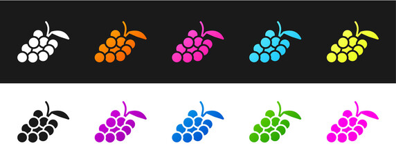 Set Grape fruit icon isolated on black and white background. Vector.