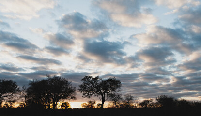 Fototapeta na wymiar Sunrise in the Kruger National Park, South Africa