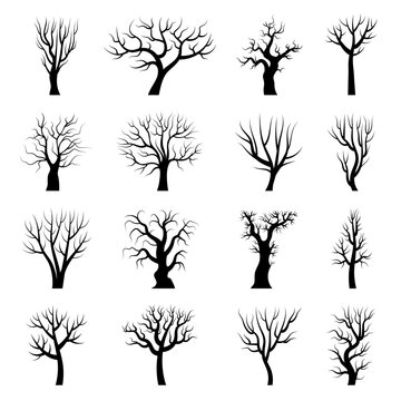Tree silhouettes. Winter tree branches dead autumn plants trunks vector illustrations. Wood autumn tree, forest winter branch collection