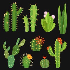 Cactuses. Cactus flower collection, exotic summer green cacti plants without pots with red and pink blossoms, desert mexican tropical flora, cartoon botanical vector isolated set