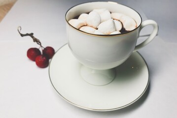 Chocolate with marshmallows in the cup, white background