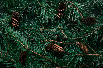 Christmas tree branches. The concept of the new year, christmas, nature. Flat lay, top view. Cones on it. Merry Christmas