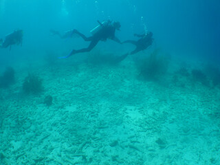 underwater scuba diver , ship Wreck , Caribbean sea
