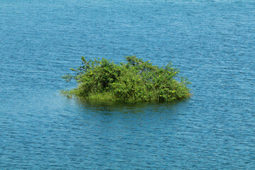 Small island formed in a dam reservoir, Karappuzha Dam