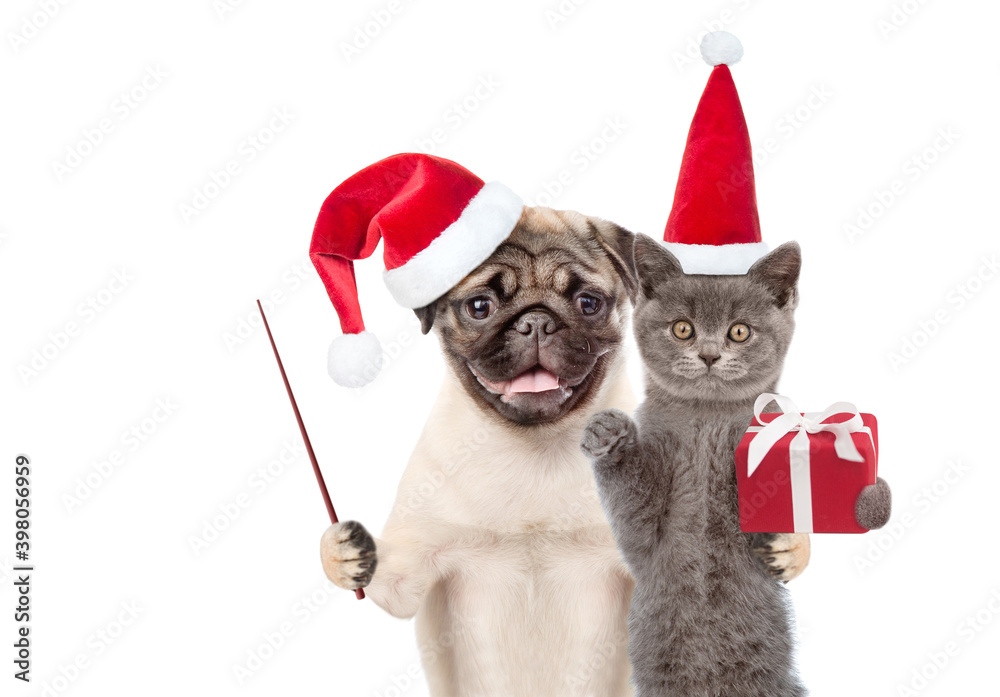 Aufkleber funny puppy and kitten wearing red christmas hats with gift box and pointing stick. isolated on whit