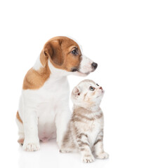Young Jack russell terrier puppy and gray  kitten sit together in profile and look away and up on empty space. isolated on white background