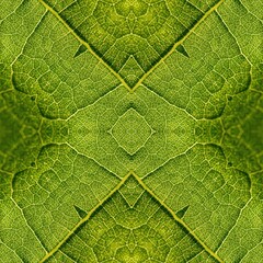 Green abstract leaf backgroudn with mandala shape