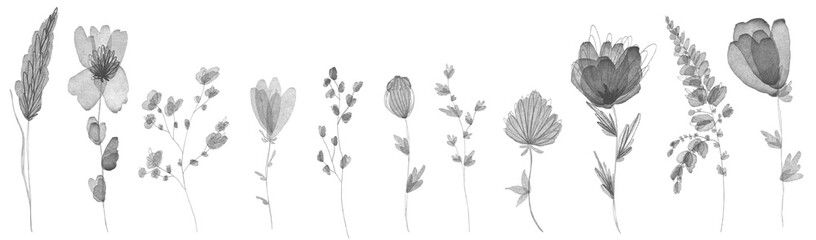 Delicate translucent summer petal flower bud set. Pencil digital art sketch. Print for design packaging of brand products, wallpaper, postcards, beauty business, wrapping paper, fabric.