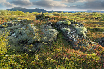 Fototapeta na wymiar Icelandic landscape 