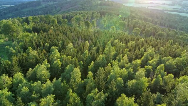 sunset Aerial flight over the woods in Oberlausitz while sunset in Saxony, Germany beautiful landscape germany 