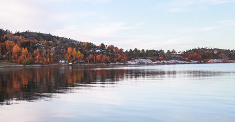 Obraz premium Norwegian landscape. Coastal forest at autumn day