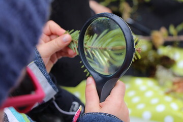 Gros plan avec loupe tenue par un enfant sur une branche d'arbre