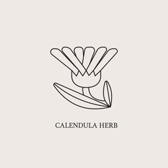Fototapeta na wymiar Vector monochrome emblems - healthy herbs for print or package design. Medicinal, cosmetic plant- calendula flower with leaves and petals. Logo or icon in trendy simple linear style.