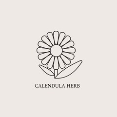 Vector monochrome emblems - healthy herbs for print or package design. Medicinal, cosmetic plant- calendula flower with leaves and petals. Logo or icon in trendy simple linear style. - obrazy, fototapety, plakaty