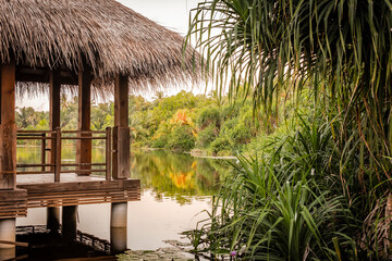 Wooden pier with a canopy of reeds  in the colorful jungle near the lake on a tropical island Fuvahmulah in the Maldives
