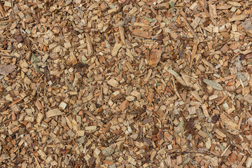 Texture of wooden sawdust of large fraction. A bunch of wood chip. Sawdust or wood dust texture background. Natural floor sensory path, barefoot on sawdust. 