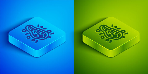 Isometric line Bacteria icon isolated on blue and green background. Bacteria and germs, microorganism disease causing, cell cancer, microbe, virus, fungi. Square button. Vector.