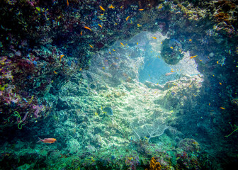 Fototapeta na wymiar Exit from the underwater cave to the colorful world of fish and corals
