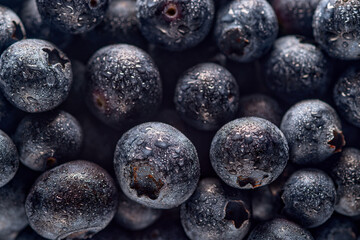 Lots of blueberries with water drops background image