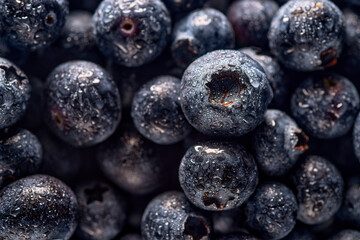 Lots of blueberries with water drops background image