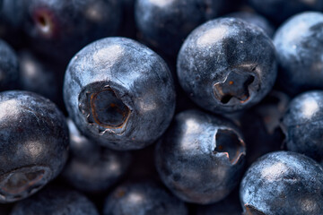 Many berries blueberry background image
