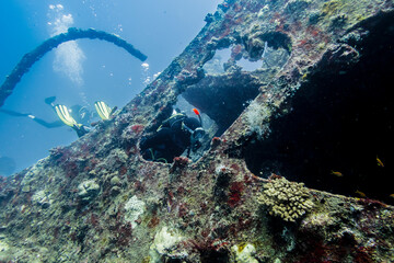 Sunken ship covered in coral and a diver swimming into the ship