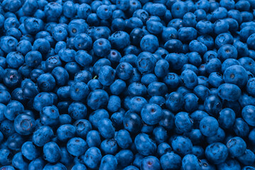 Fresh blueberry background.