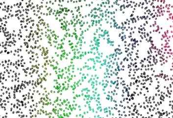 Light Multicolor, Rainbow vector layout with circle shapes.