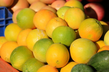 Citrus fruits background. Tangerine harvest concept. Local fruits market.