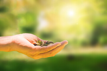 business concept. hands of business man hold money coin wiht green blur background for financial saving and investing growth.