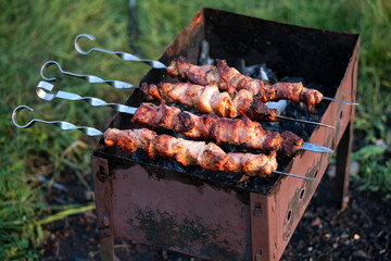 Fried shish kebab on skewers on the grill.