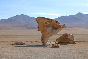 Fototapeta na wymiar Bolivie