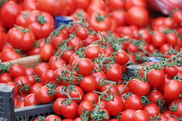Small red ripe tomatoes background. Close up of organic vegetables at market stall. Natural healthy food.