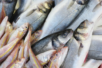 Fish for sale on market stall. Fresh raw fish background. Sea food concept.