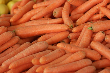 Pile of fresh young carrots close up. Root vegetable harvesting. Healthy nutritious food.
