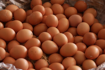 Pile of brown organic eggs at farmers market. Sale of domestic chicken eggs close up. Food industry.