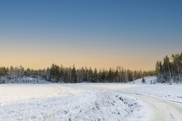 Gorgeous winter nature landscape view. Bend of country road and green forest trees on blue sky background.