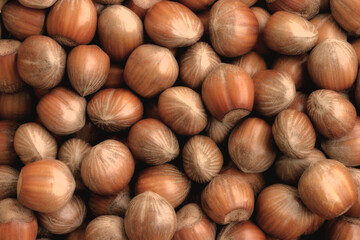 hazelnuts