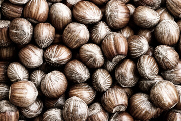 hazelnuts