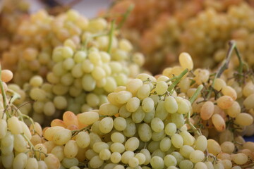 Bunches of green grape close up. Tasty fruits at market stall.