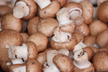 Pile of raw brown mushrooms close up. Harvest of organic vegetables. Cultivation of brown champignons mushrooms.