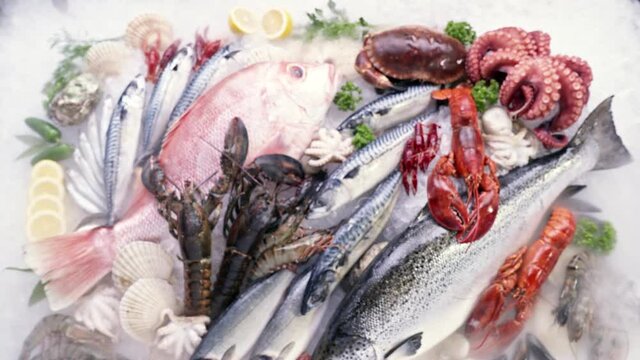 4K UHD Shift Focus Top view: Variety of luxury fresh seafood, Lobster salmon crayfish prawn  on ice background with frozen icy smoke. Fresh frozen seafood on ice and retail market concept.